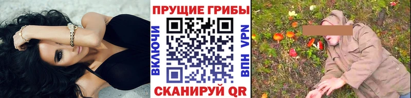 Псилоцибиновые грибы Psilocybine cubensis Купить Петров Вал